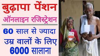 Old Age pension Bihar online Apply 2022 || vridha pension online kaise kare 2022 screenshot 1