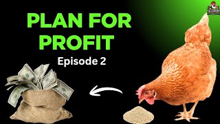 Rearing Chicken for Business: How to Plan a Profitable Poultry Farm (Episode 2)