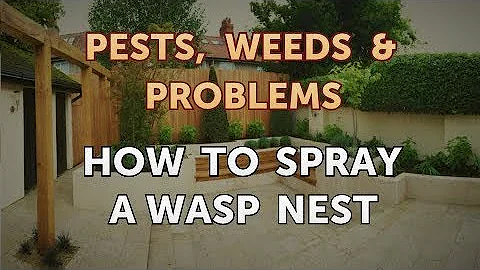 How to Spray a Wasp Nest