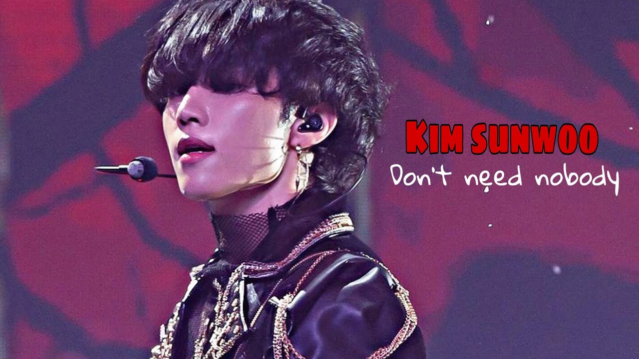 Kim Sunwoo - don't need nobody [FMV]