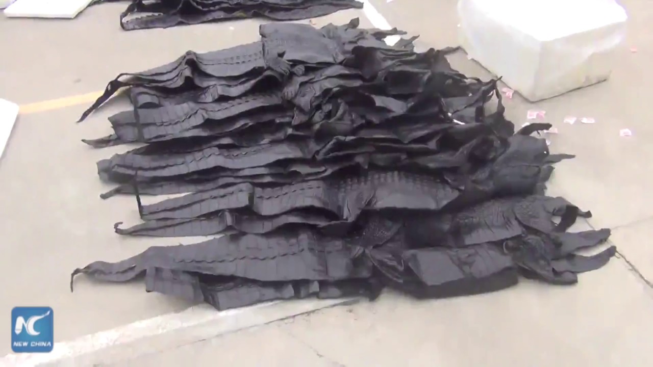 1,600 crocodile skins seized in S China 