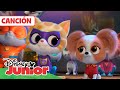 SUPERKITTIES: ¡Esta melodía hay que compartirla! 🎶🎤 | CANCIÓN | @DisneyJuniorES