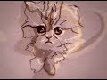 Cat animation  the cats of youtube richard swarbrick rikkileaks