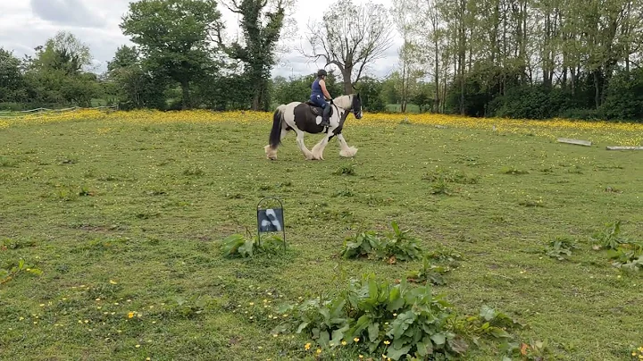 Mandy Forrester, Jack, Intro 1a- May