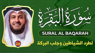 سورة البقرة كاملة🤍تلاوة خاشعة مؤثرة😌بصوت ملائكي❤️لتحصين المنزل وجلب البركة❤️مشاري راشد العفاسي💚