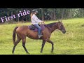 My First Ride on My New Horse