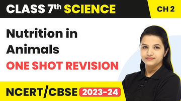 Nutrition in Animals - One Shot Full Chapter Revision | Class 7 Science Chapter 2