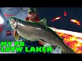 My ice fishing personal best lake of the woods lake trout livescope was playing games with me