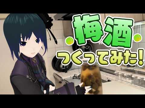 【 #Vツマ 番外編 】Vtuber、梅酒を作ってみた！【 #プラマイ400 】
