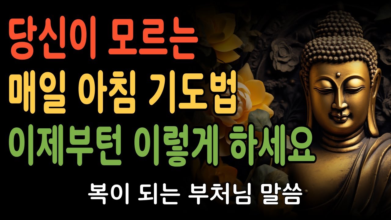 매일아침 3분 관세음보살로 내면의 업장을 녹이다. 아침마다 부르는 관세음보살, 내 삶이 달라졌다 |부처님말씀|불교명언|불교이야기|관세음보살|삶의지혜|마음공부|인생조언|