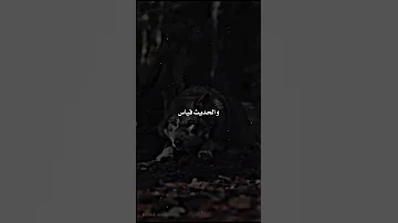 Dak The Last Pirate Dak Rapdz اغاني راب عنابة 