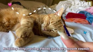 ASMR ♡ Lofi Camera & Hypnotizing Phone Case Tapping, Soft Kitty Tracing, More ♡  screenshot 2
