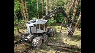 4K Timberpro 830B Big American Logging Video Harvester Action Machine In Slope