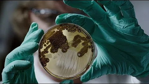 Resistance Fighters - Official Trailer