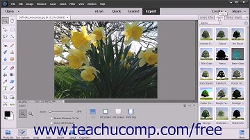 Photoshop Elements 15 Tutorial The Panel Bin and Taskbar Adobe Training