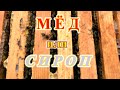 Мёд или сироп. На чем пчелы зимуют лучше?