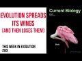 TWiEVO 83: Evolution spreads its wings (and then loses them)