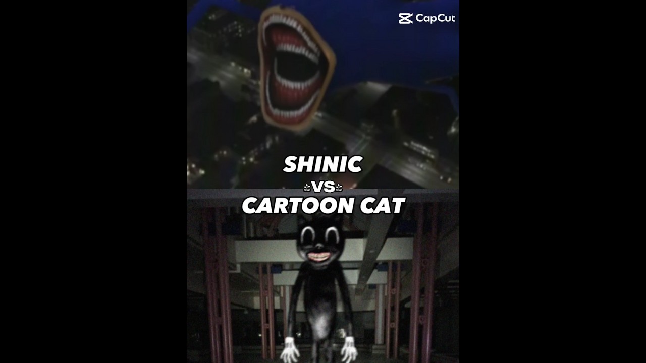 shin sonic vs cartoon cat