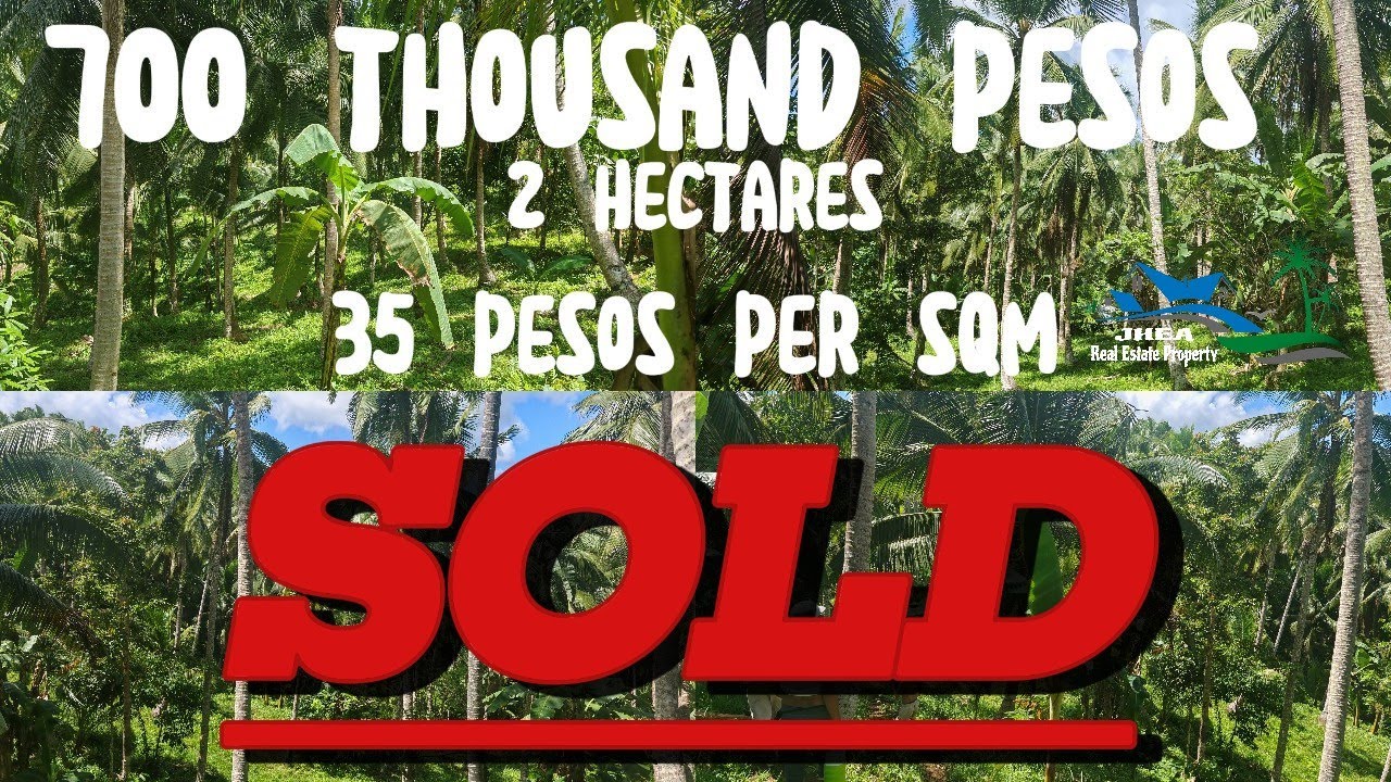 VLOG #139 | 2 HECTARES | 35 PESOS PER SQM or 700 THOUSAND PESOS |