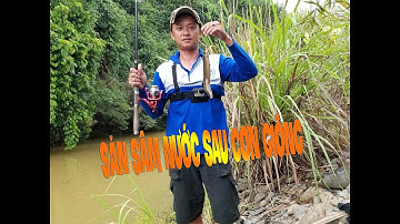 Câu CHẠCH LẤU sau lũ, ae được mẻ cá KHỦNG |  Câu sâm nước mùa lũ