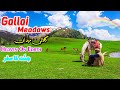 Gallai Meadows - Hidden And Unexplored place in PAKISTAN || Travel Eye || Episode #1