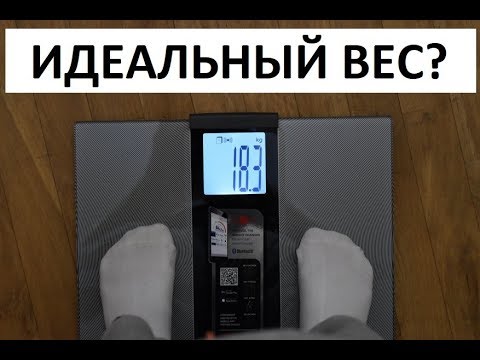 Как рассчитать свой идеальный вес?