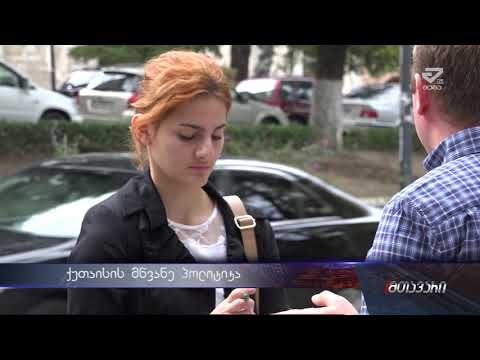 \"ქუთაისს მალე გარემოს დაცვის სტრატეგია ექნება\"-მეგა ტვ ქუთაისის მწვანე პოლიტიკით დაინტერესდა