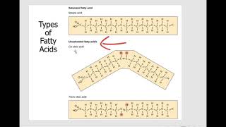 Bio 111 Chapter 3. Biomolecules: Part 3. Lipids