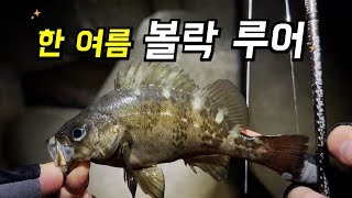 한 여름 밤의 볼락 루어 낚시 screenshot 4