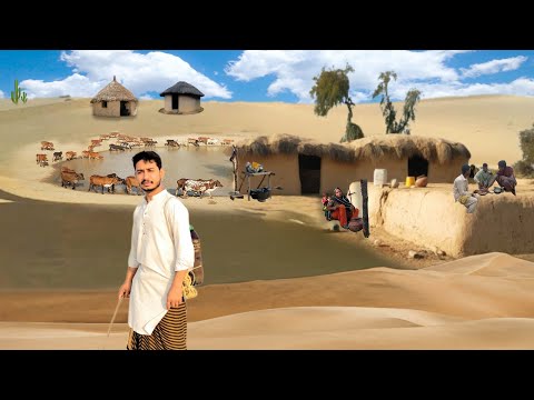 People Living In Cholistan Life style In cholistan Cow's milk || life in punjab desert last village
