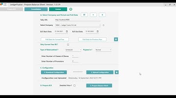 LedgerFusion - Prepare Schedule3 Balance Sheet