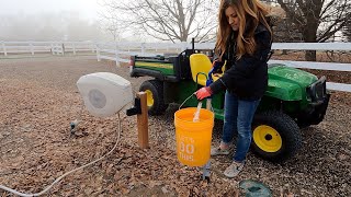 How & What I Water in Winter + Container Cleanup and Perennial Planting! ❄ // Garden Answer
