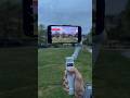 DJI Osmo Mobile 7 Features | Video & Photo Mode Switch