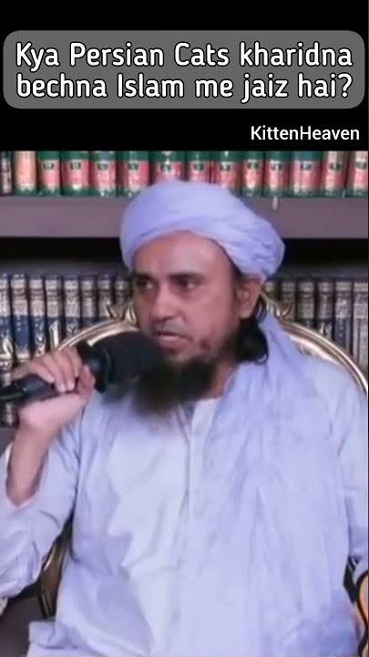 Kya Persian Cats kharidna bechna Islam me Jaiz hai? #shorts