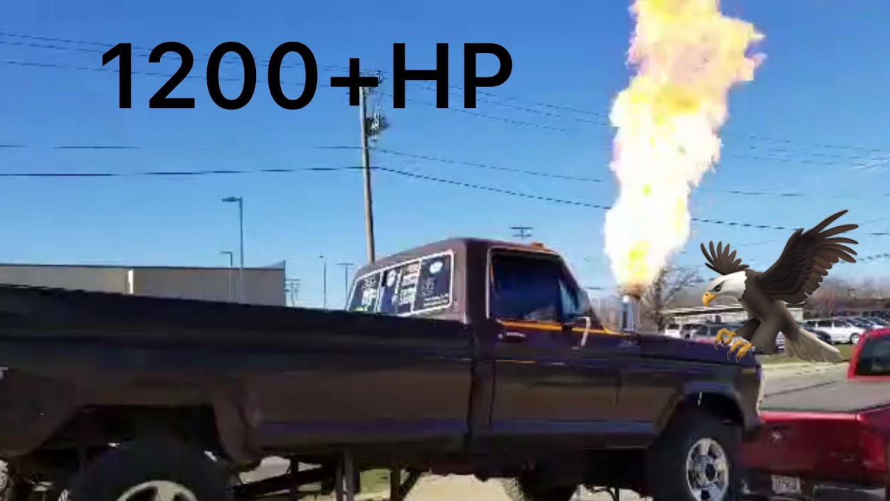 1978 P Pump 6.0 Powerstroke Dyno round 2