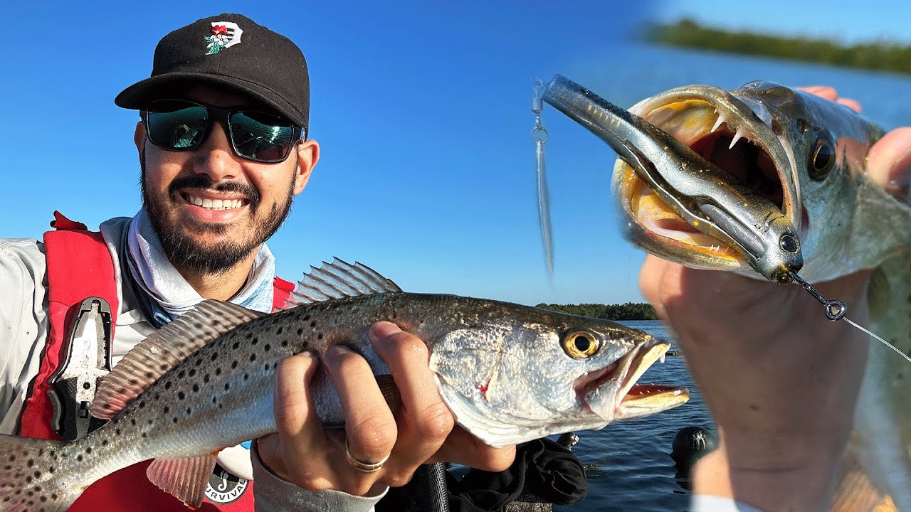 Catching Speckled Trout in Tampa Bay Florida Kayak Fishing St