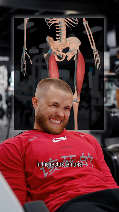 Best Scientific Leg Workout For 2025