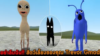 อย่าลืมฉัน สัตว์เลี้ยงของคุณ Trevor Garry's mod