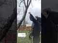 Наша первая кормушка для птичек 🐦