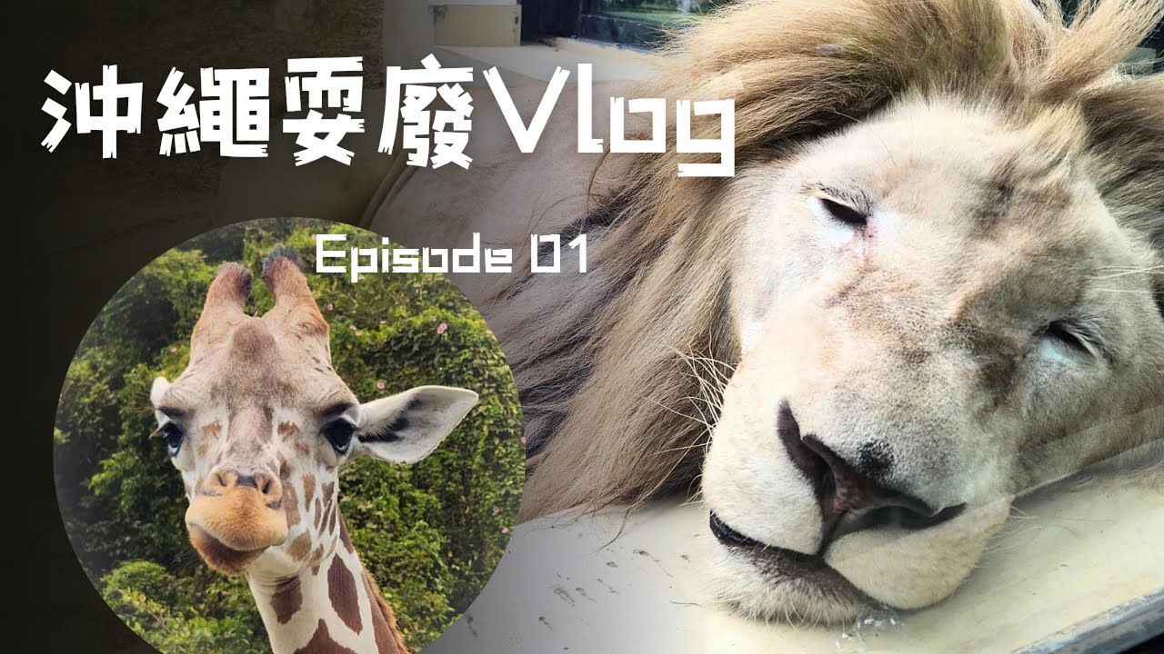 【2025/10 沖繩耍廢Vlog】EP01.  沖繩兒童王國 / BANTA CAFE / 萬座毛