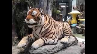 Tiger Animatronic