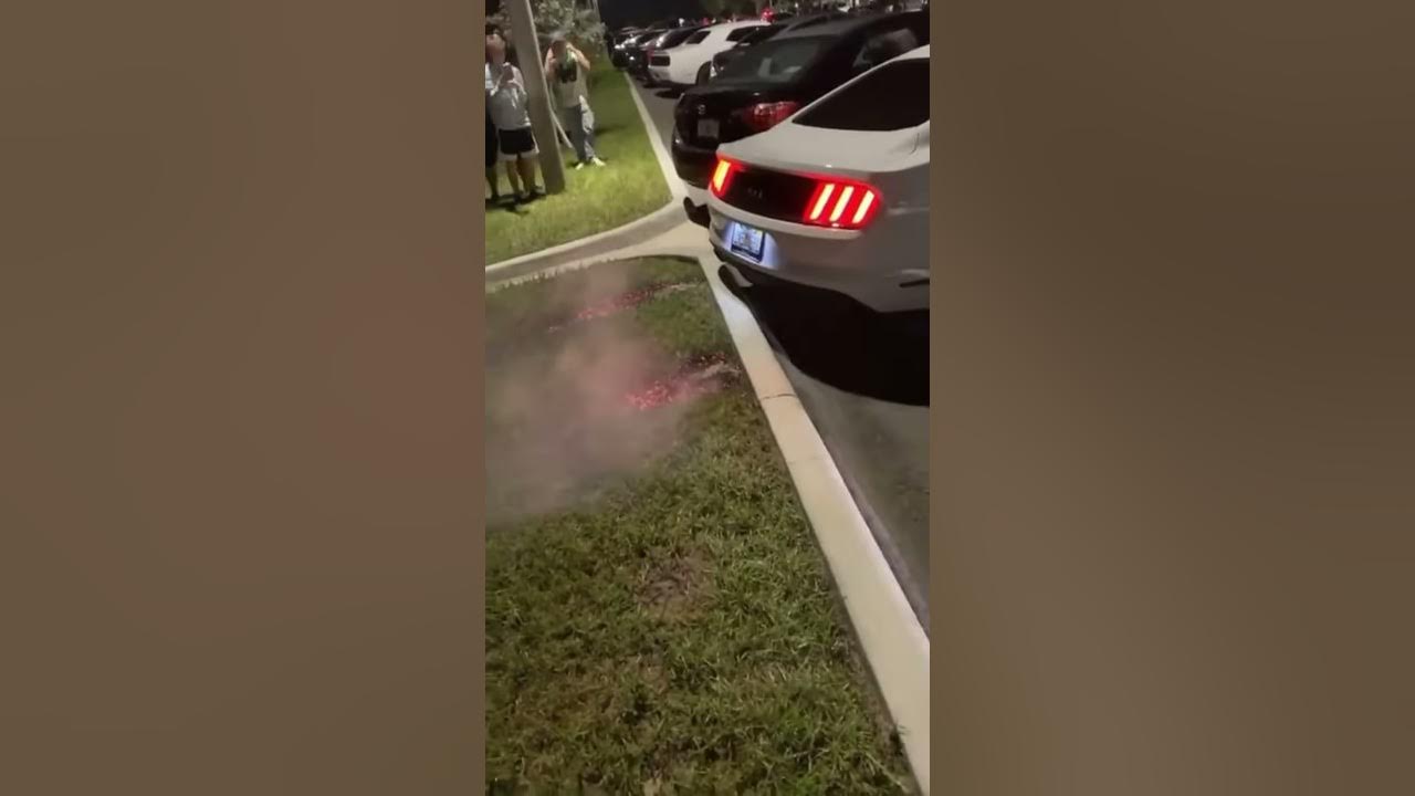 Loud Ford Mustang GT (HUGE FLAMES!!)π±π₯ Loud Ford Mustang GT (HUGE FLAMES!!)π±π₯
