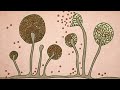 Mucor (Black Fungus) Life Cycle Explained in Hindi | Structure, Reproduction & Diagram