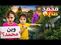                                                                                                      حالتي