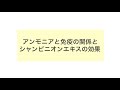 アンモニアと免疫に関するシャンピニオンエキスの効果