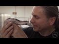 How To Make Millions With A Reptile Business! SnakeBytesTV - Ep. 398 : AnimalBytesTV