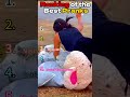 Ranking of the Best Pranks #shorts #viralshorts #shortsfeed #funny #ranking #memes #ZeMarvelous