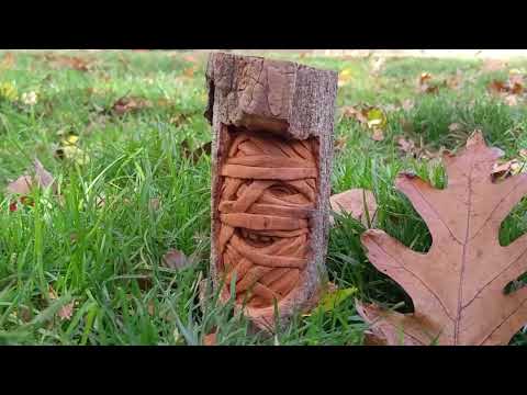 How to Carve a Mummy in Wood