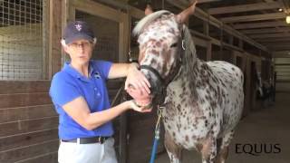 Checking mucous membranes