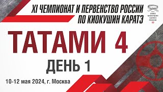 XI Чемпионат и Первенство России по Киокушин Каратэ СККР 2024. Татами 4. День 1